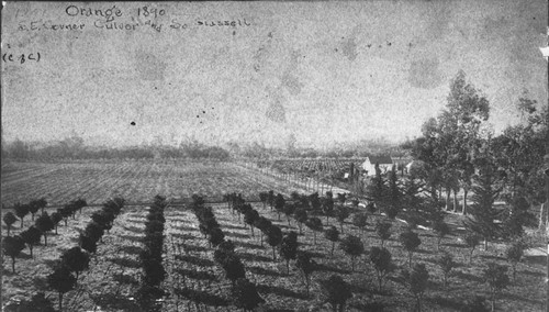 Orange, 1890, S.E. Corner of Culver and S. Glassell