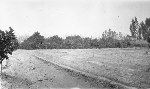 1938 flood erosion, Orange, California, 1938