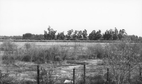 Collins Avenue Ranch, Orange, California