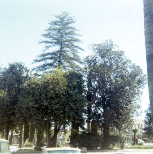 Orange Plaza Square, Orange, California, 1970