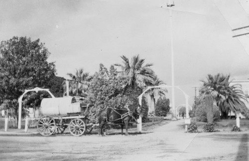 Plaza Park, Orange, California, 1905-1910