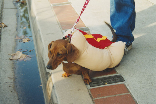 "Treats in the Streets" Halloween festival, Orange, California, 1999