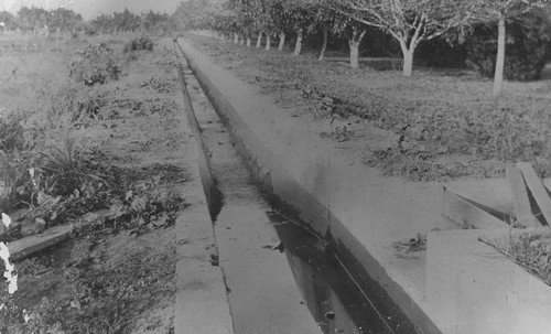 Irrigation ditch along a walnut grove, Orange, California, ca. 1910