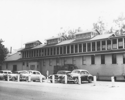 Villa Park Orchards Association, 1960