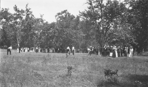 Orange County Park picnic, Orange, California, 1909