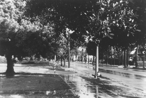 East Chapman Avenue after a rain, Orange, California, 1930