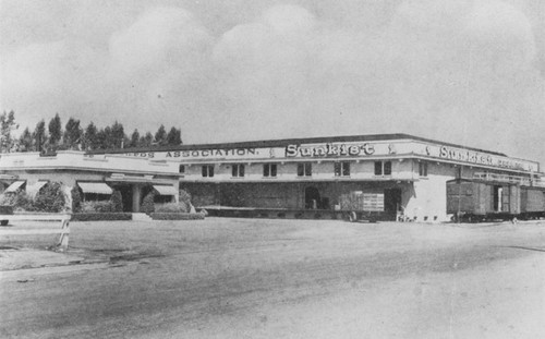 Santiago Orange Growers Sunkist Packing Plant, Orange, California, ca. 1945