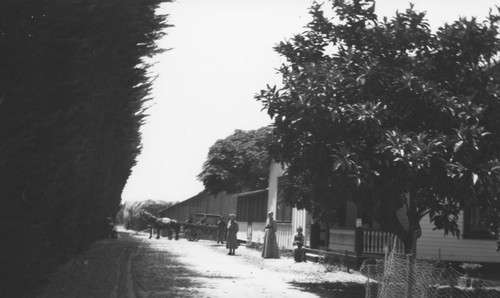 William Hillebrecht Ranch home and yard, Orange, California, 1908