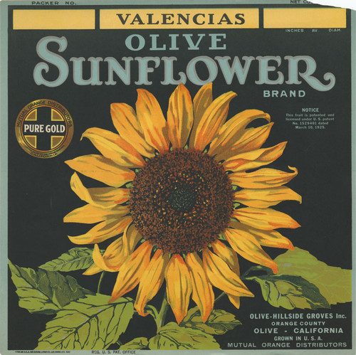 Crate label for Sunflower Brand Valencia oranges, Olive Hillside Groves Inc., Olive, California, 1925