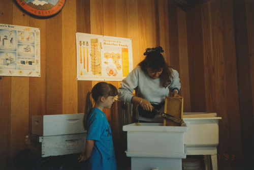 Honey House in Pitcher Park with demonstration of collecting honey from trays, Orange, California, ca. 1990