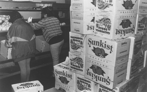 Villa Park Orchards Association interior with workers and Sunkist orange boxes, 1996