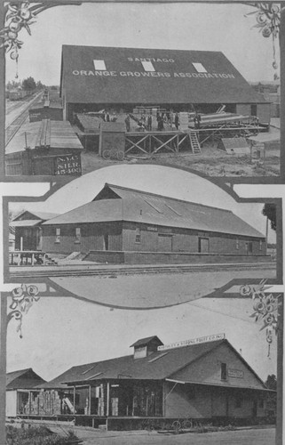 Citrus Packing Houses in Orange, California