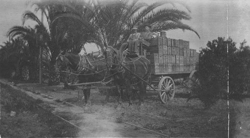 Pierce Ranch with horse-drawn wagon, Orange, California, ca. 1915