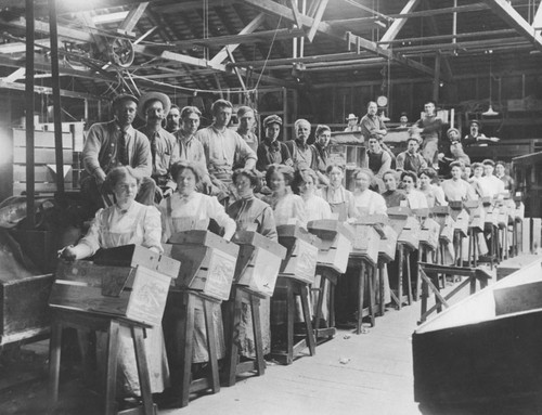 Santiago Orange Growers Association packing house in Orange, California, ca. 1906Santiago Orange Growers Association packing house in Orange, California, ca. 1906. Image shows interior view of employees working in the packing house. Women orange packers are loading wooden crates positioned on slanted stands, while male employees have posed behind them for the photograph. The packing house was located at Atchinson Street and Palm Avenue, convenient to the Santa Fe Railroad line