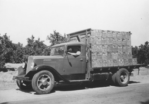 Consolidated Orange Growers truck, Orange, California, ca. 1935-1940