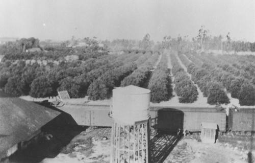 Water tower at McPherson Packing House, Orange, California, 1926