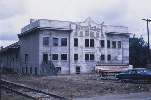 McPherson Heights Citrus Association Packing House, 1951