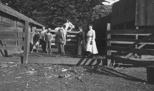 Hillebrecht Ranch cow corral, Orange, California, 1909