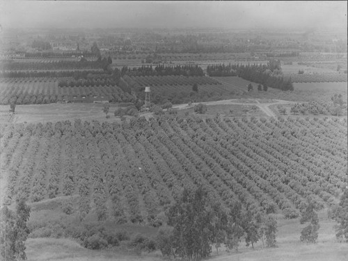 David Hewes orange groves, packing house and Hewes Park (aerial view), El Modena, California, ca. 1910