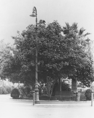 Plaza Park and street lamp post, Orange, California, ca. 1918