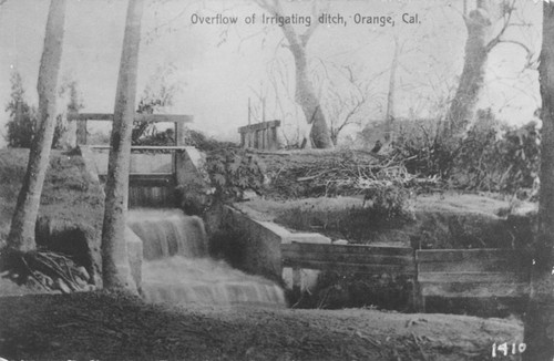 Overflow of Irrigating ditch, Orange, Cal., 1910