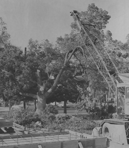 Orange Public Library, East Chapman Avenue and Grand Street, Orange, California, 1960