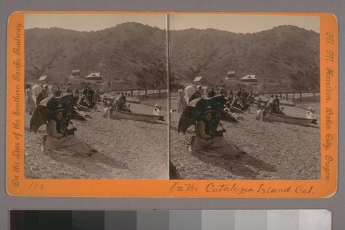 (On the Catalina Island, Cal.) Photographer's number: 118 (in mss.) Place of publication: Baker City, Oregon. Photographer's series: On the Line of the Southern Pacific Railway