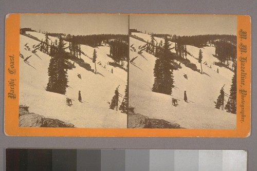 (On Top of Eureka Peak, Plumas Co, Cal; on verso.) Photographer's series: Pacific Coast