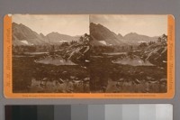 From the head of Virginia Creek, near Castle Peak. Photographer's series: Sierra Nevada Mountains, item 1