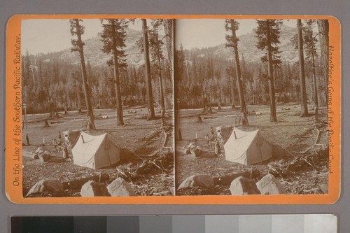 (At Donor [Donner] Lake, Cal; on verso.) Photographer's series: Hazeltine's Gems of the Pacific Coast