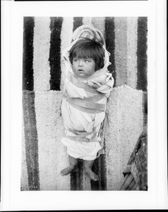 Walapai baby wrapped in a papoose basket, ca.1900