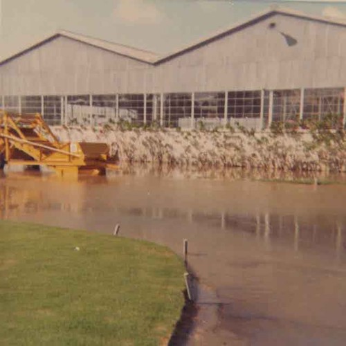 Flooded grounds