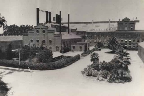 Sugar beet factory, 1920s