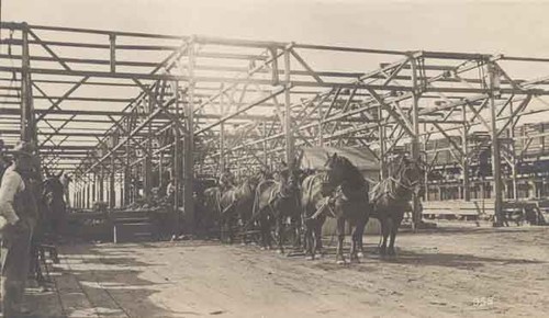 Beet dump at factory