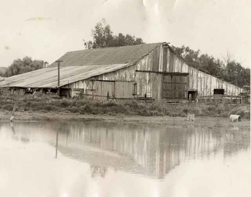 McGrath Barn