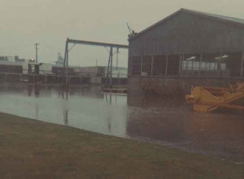 Flooded grounds