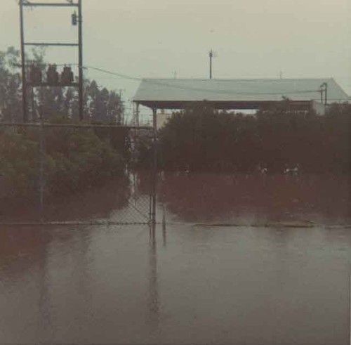 Flooded grounds