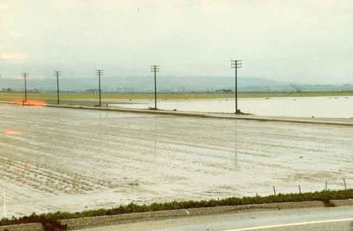 Flood at Mugu