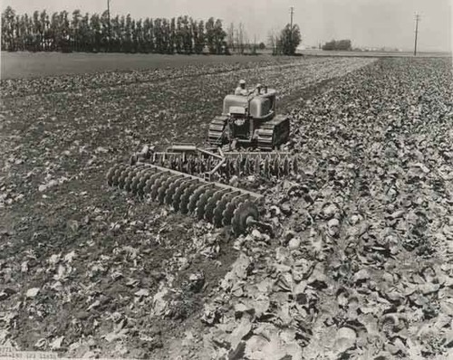 Plowing the field