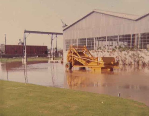 Flooded grounds