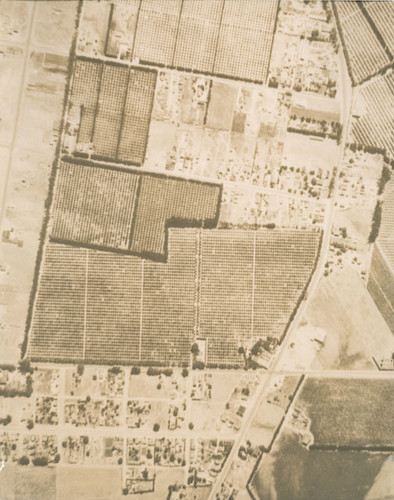 Aerial photography of fields