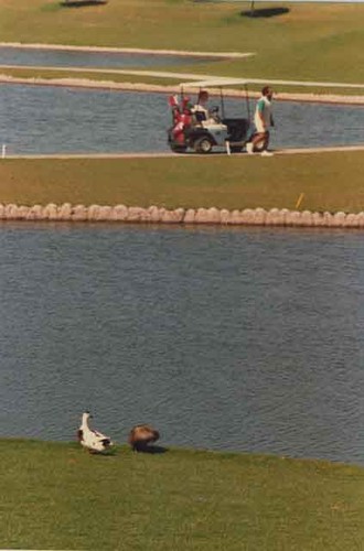 Golf cart by ponds at River Ridge golf course