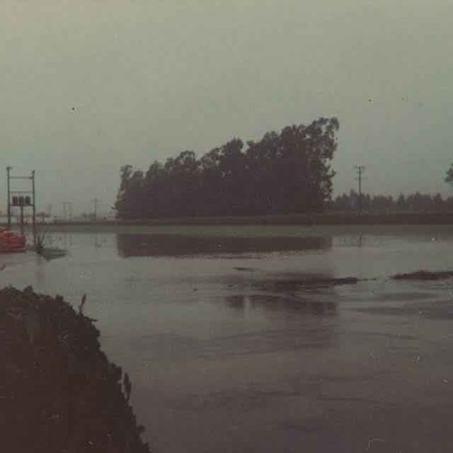 Flooded grounds