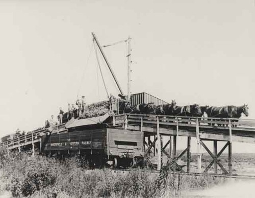 Naumann beet dump on Etting Rd., ca. 1909