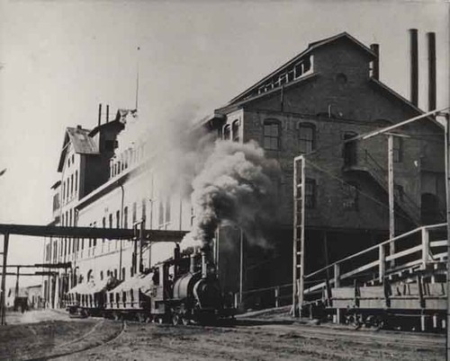 Trainload at the factory