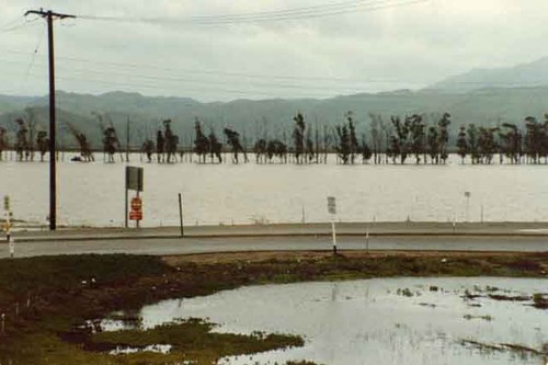 Flood at Mugu