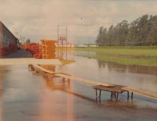 Flooded grounds