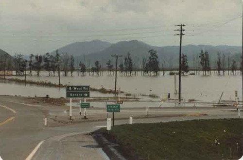 Near Wood Road & Highway 1