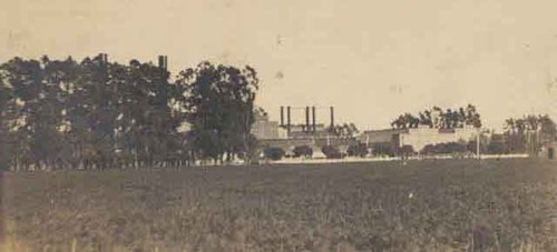 Sugar beet factory, 1902