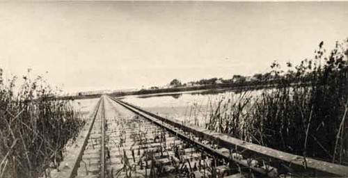 Train trestle under water